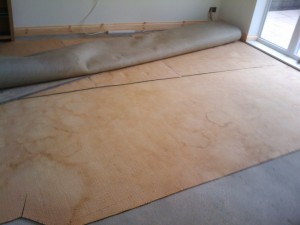 Carpet in the new room