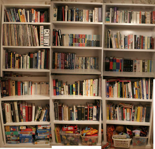 filled bookcase